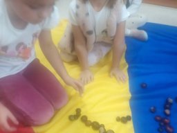 4616576509954983790447777772524231258772993n